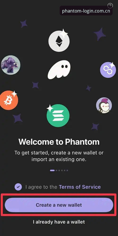 phantom site login入口教程深度分析：数据透视常见失败原因与避坑实操指南
